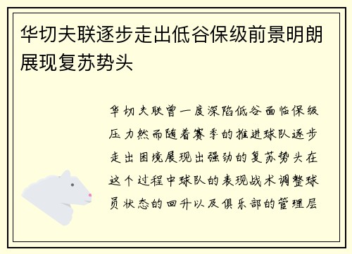 华切夫联逐步走出低谷保级前景明朗展现复苏势头